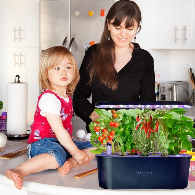 Is It Worth Buying A Hydroponic System?