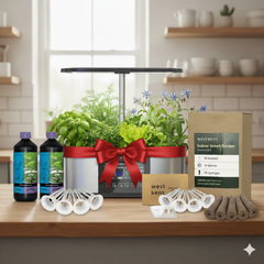 Indoor gardening kit with plants, lights, and supplies on a table.