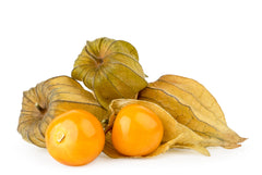 Hydroponic Fruit Seeds