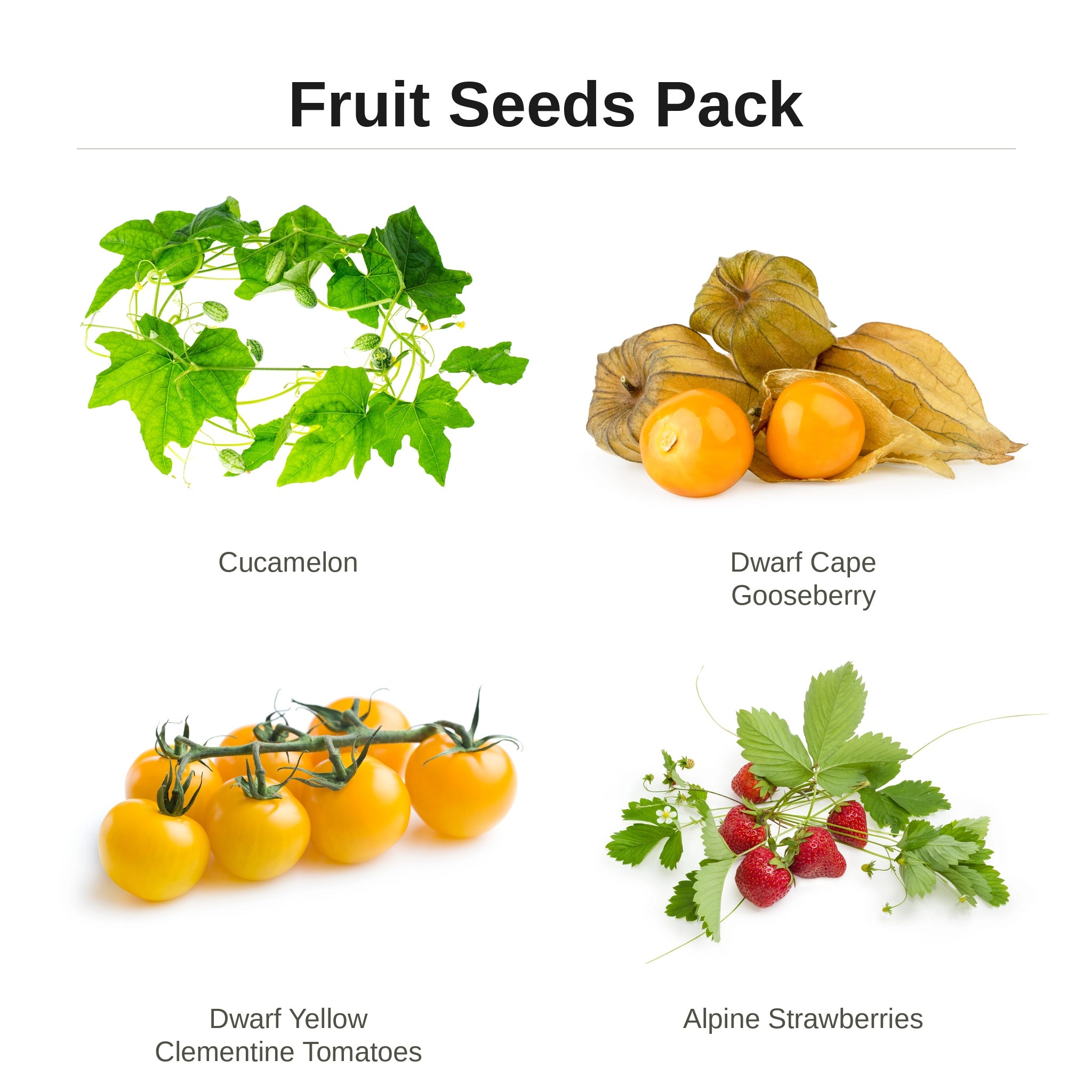 Fruit Seeds Pack – cucamelon, dwarf cape gooseberry, dwarf yellow clementine tomatoes and alpine strawberries seed pack for indoor hydroponic gardens