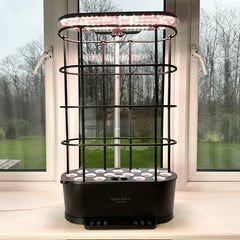 A double set of cages for the 15 pod