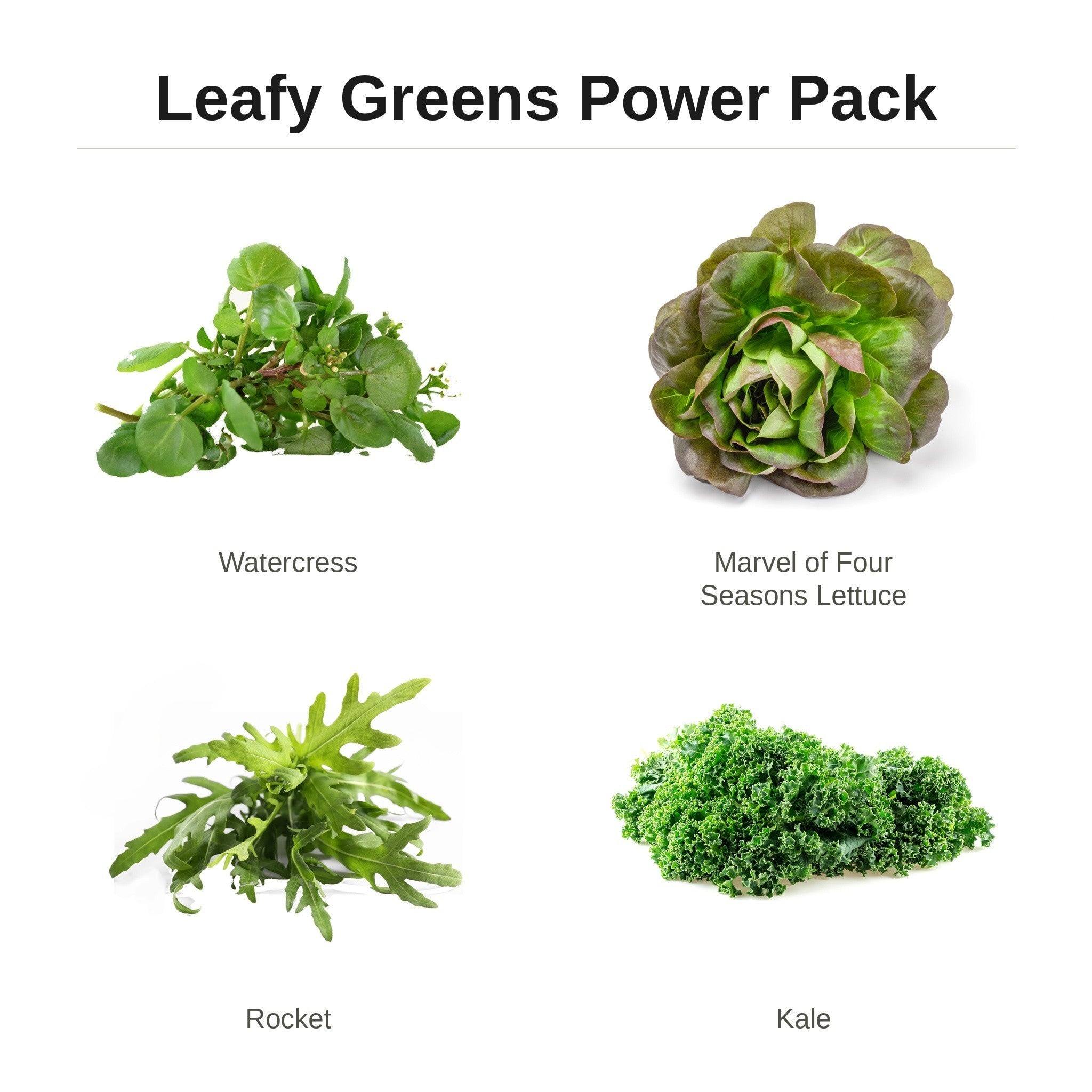 Leafy Greens Power Pack – watercress, Marvel of Four Seasons lettuce, rocket and kale seed pack for indoor hydroponic gardens