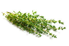 Thyme Hydroponic Seed for Indoor Hydroponics