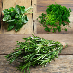 A picture of some of the herbs that are in a pack of seeds photo 3