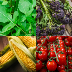 picture of vegetables included in the vegetable pack photo 2