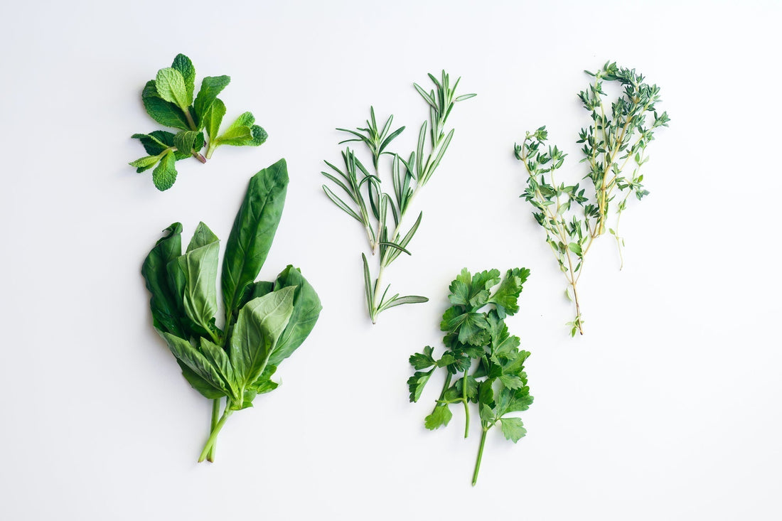 What is the Best Indoor Herb Garden Kit for Year-Round Freshness?