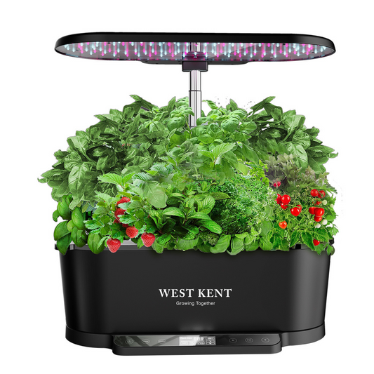 West Kent indoor hydroponic smart gardens