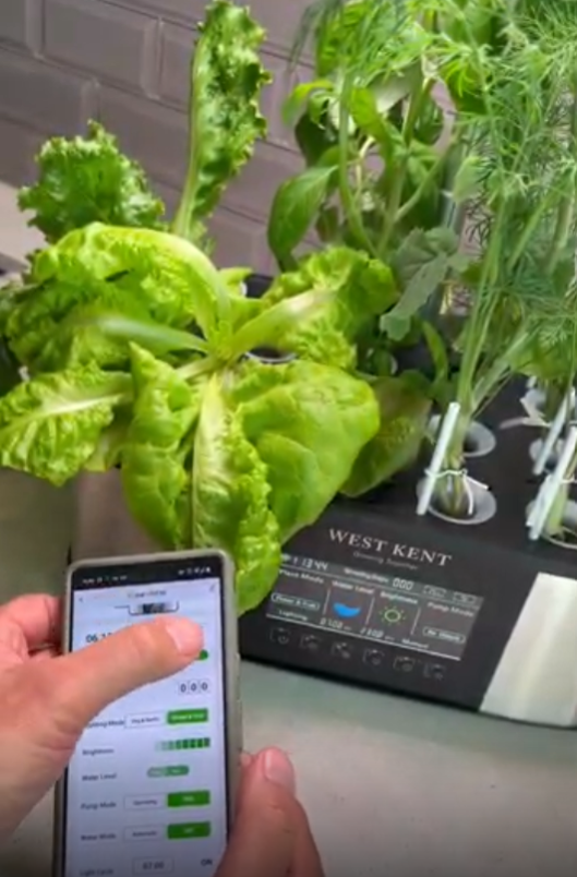West Kent 21-Pod Smart Garden with app showing remote water and light monitoring for holiday use