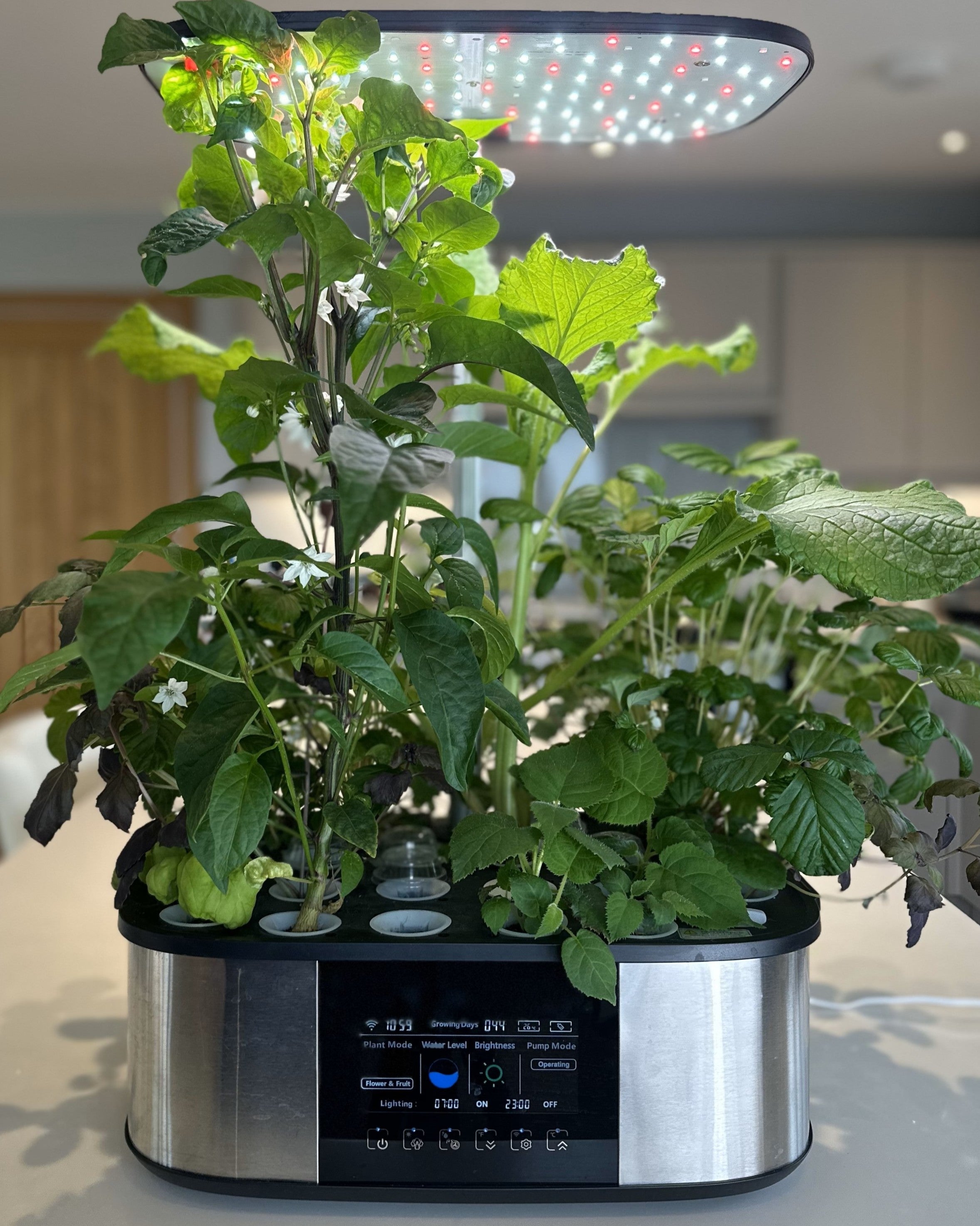 West Kent 21-Pod Indoor Hydroponic Smart Garden placed on kitchen counter, growing fresh herbs and leafy greens year-round