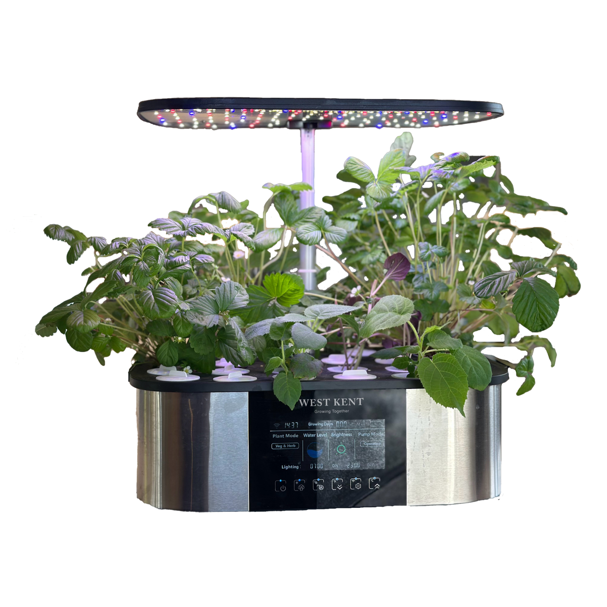 A West Kent 21 Pod ‘Luxury’ Indoor Hydroponic Smart Garden West Kent