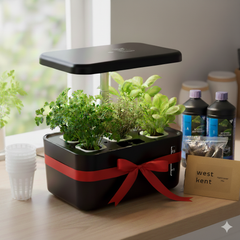 5 Pod Smart Garden Mini Gift Bundle - Nutrients, Accessories and Seeds