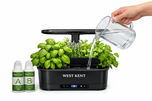 Fill With Water