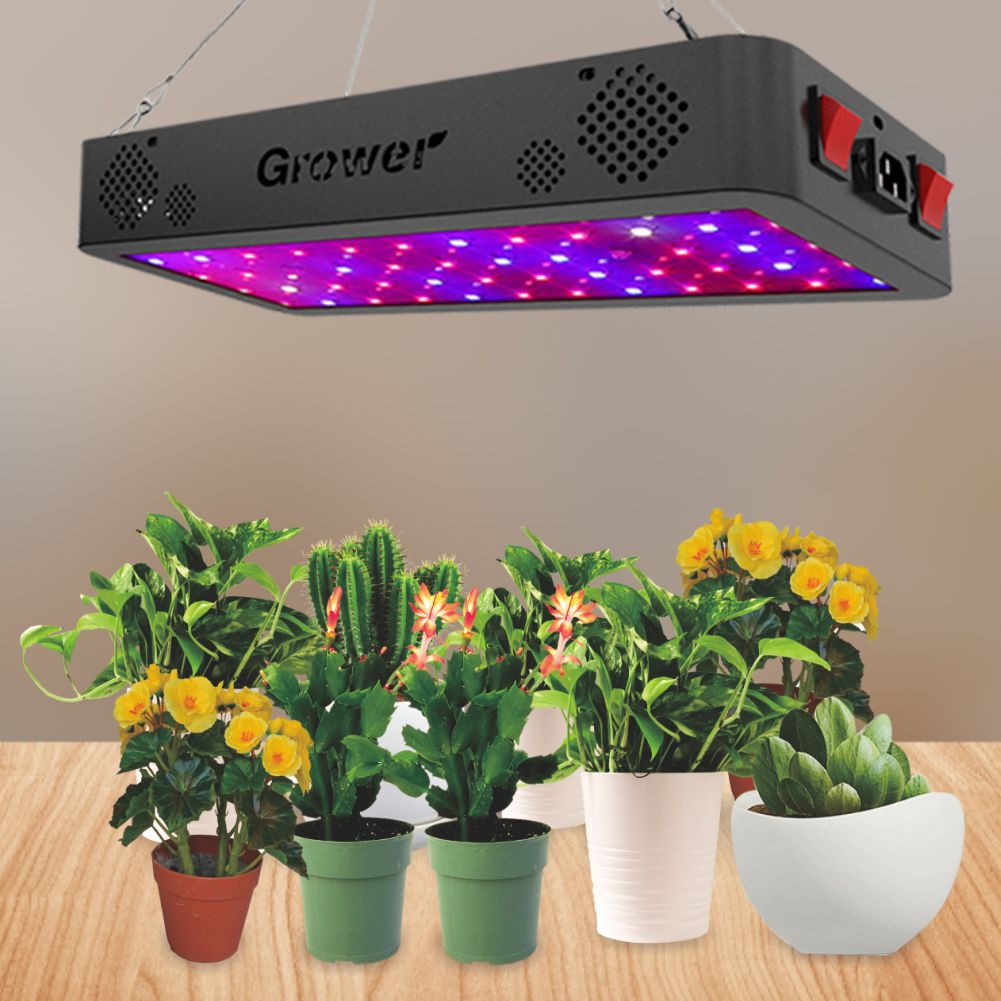 Overhead 100W Grow light Above some plants