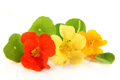 Edible Flowers Pack