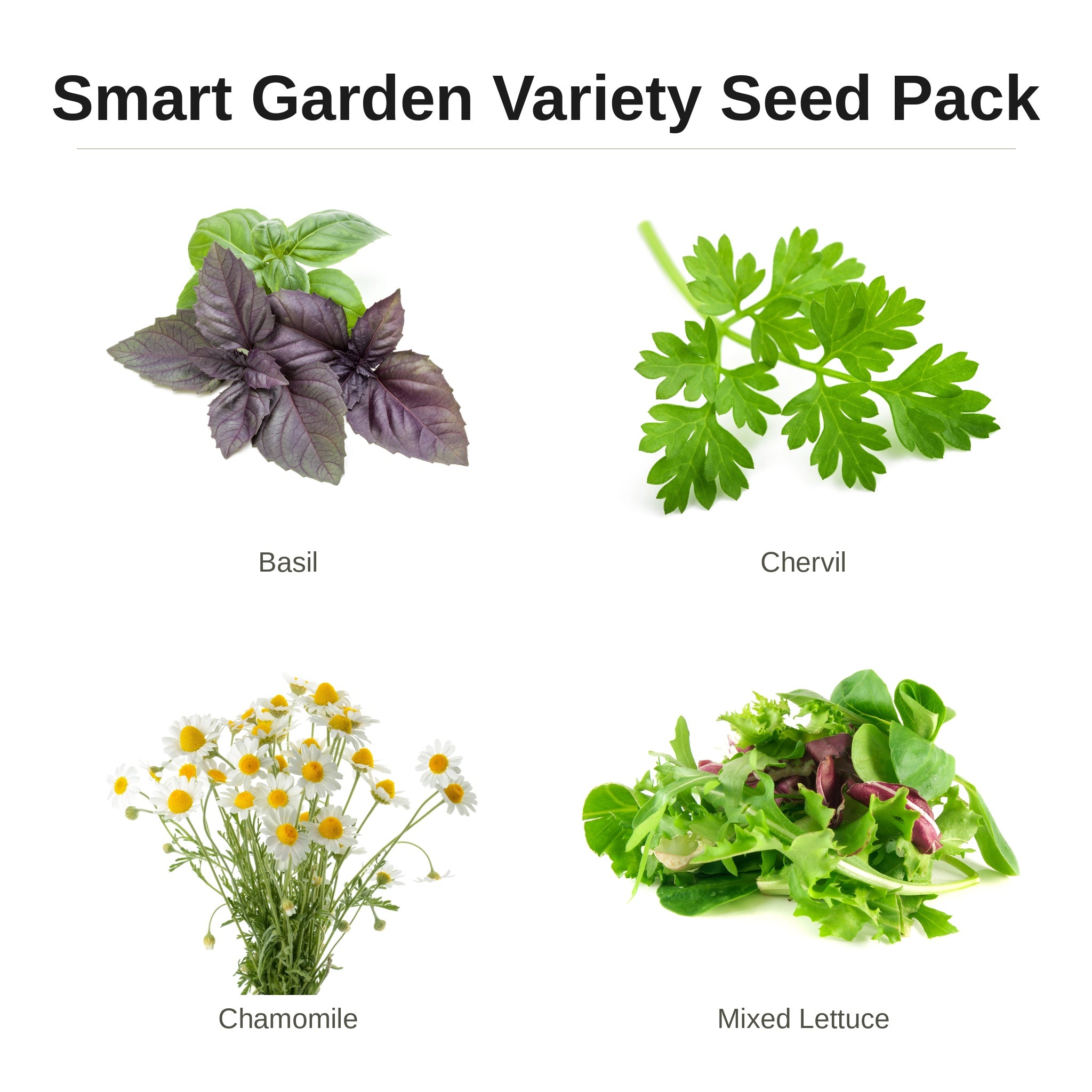 Smart_Garden_Variety_Seed_Pack_basil_chervil_chamomile_mixed_lettuce_seed_pack_for_indoor_hydroponic_gardens