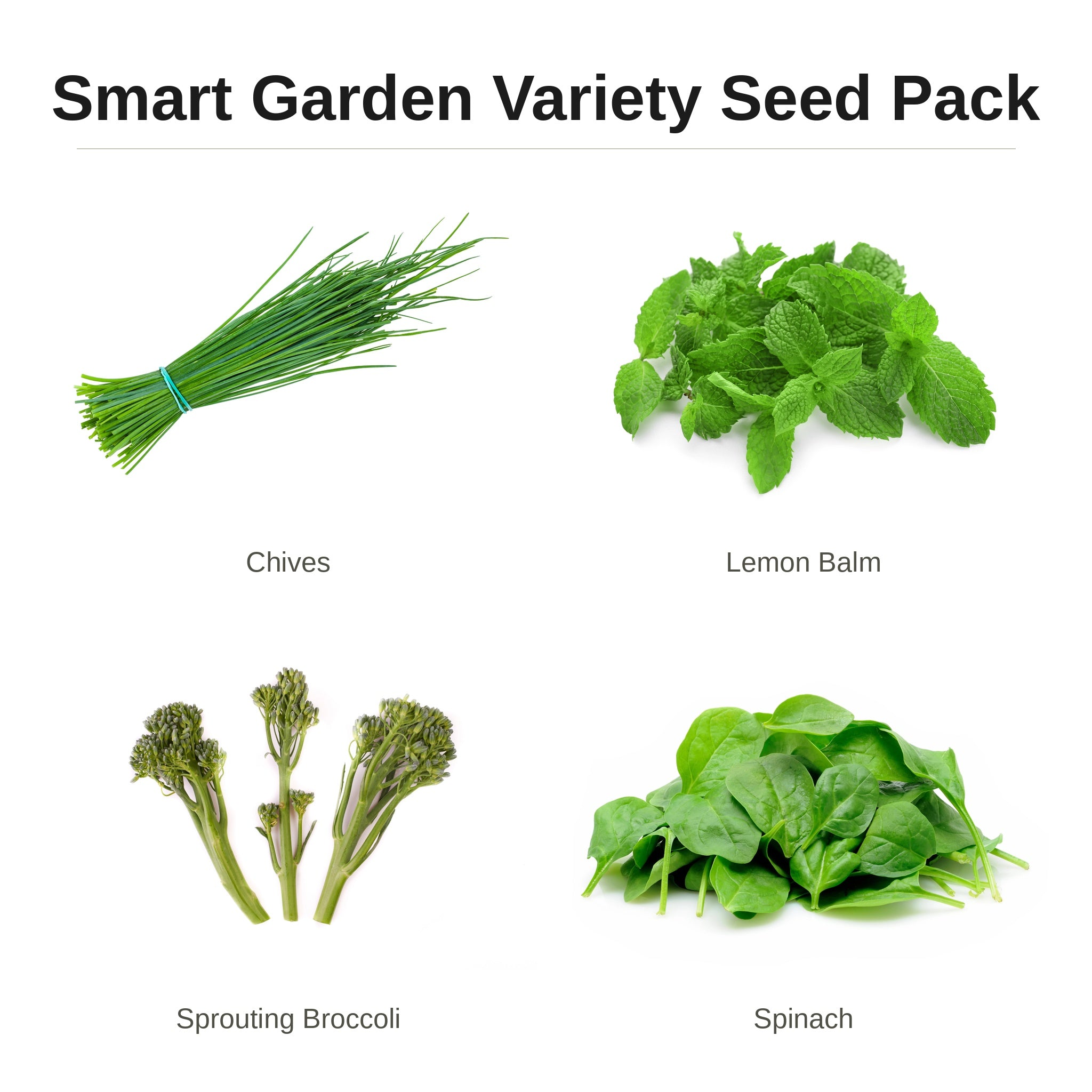Smart Garden Variety Seed Pack