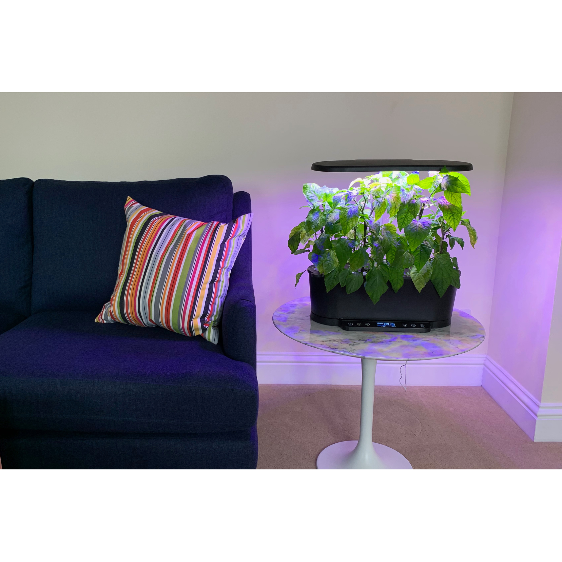 A West Kent 15 Pod Indoor Smart Garden Hydroponic Growing System - Black
