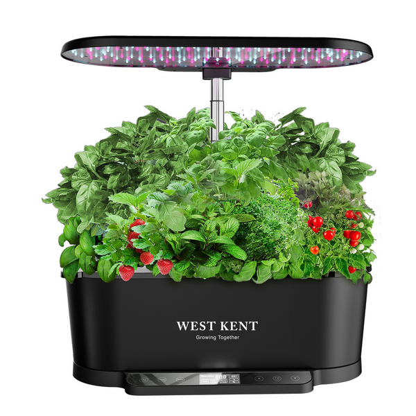 A West Kent 15 Pod Indoor Smart Garden Hydroponic Growing System