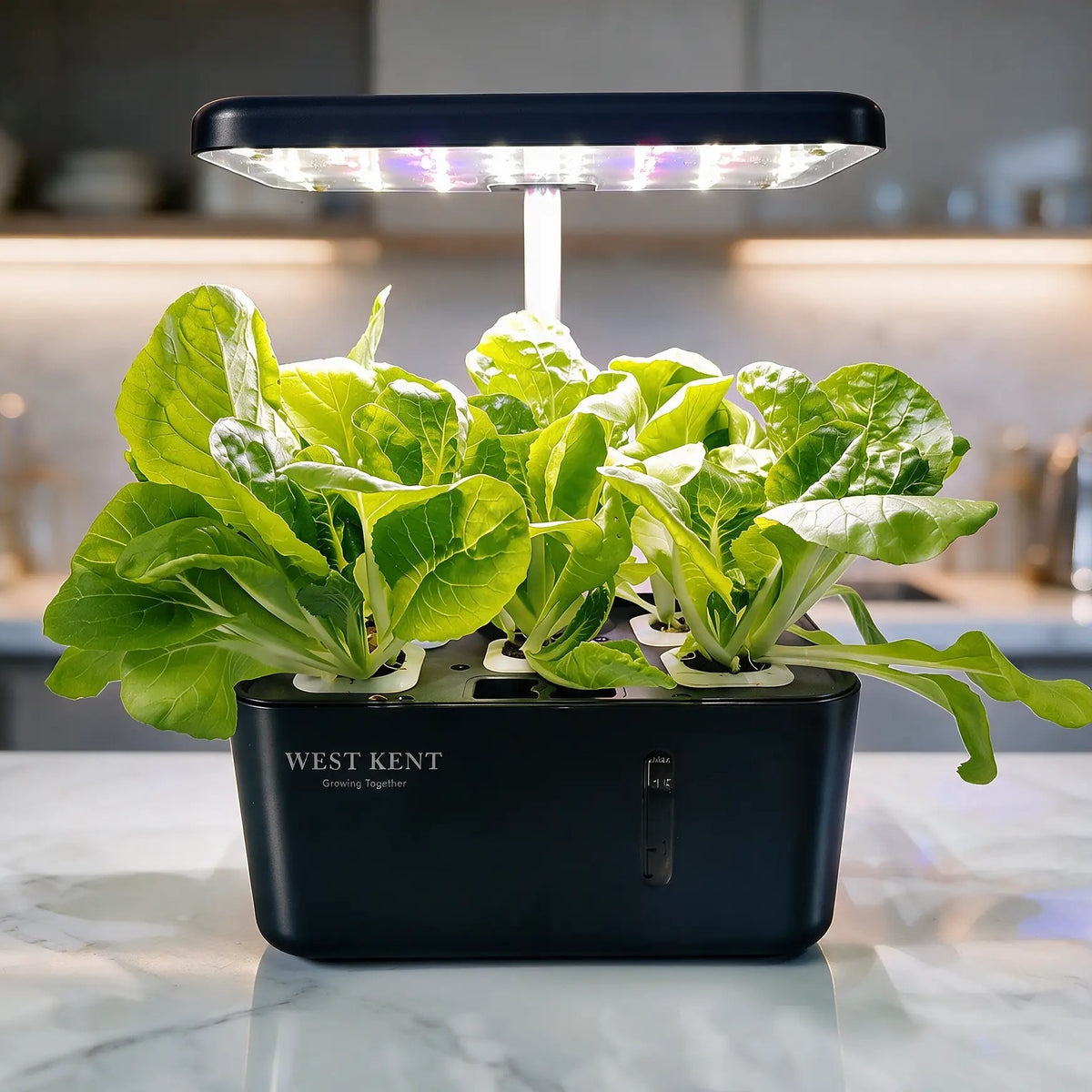 West Kent Smart Garden Mini - 5 Pod Indoor Herb Kit