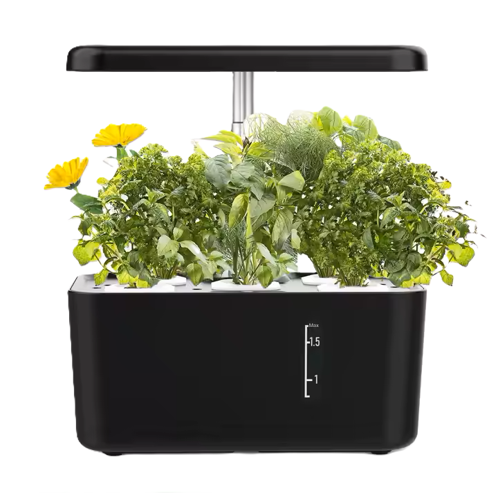 West Kent 5 pod smart garden Mini, hydroponic indoor garden