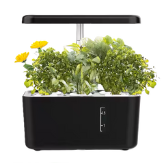 West Kent 5 pod smart garden Mini, hydroponic indoor garden