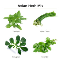 Asian Herb Mix - Hydroponic Seeds