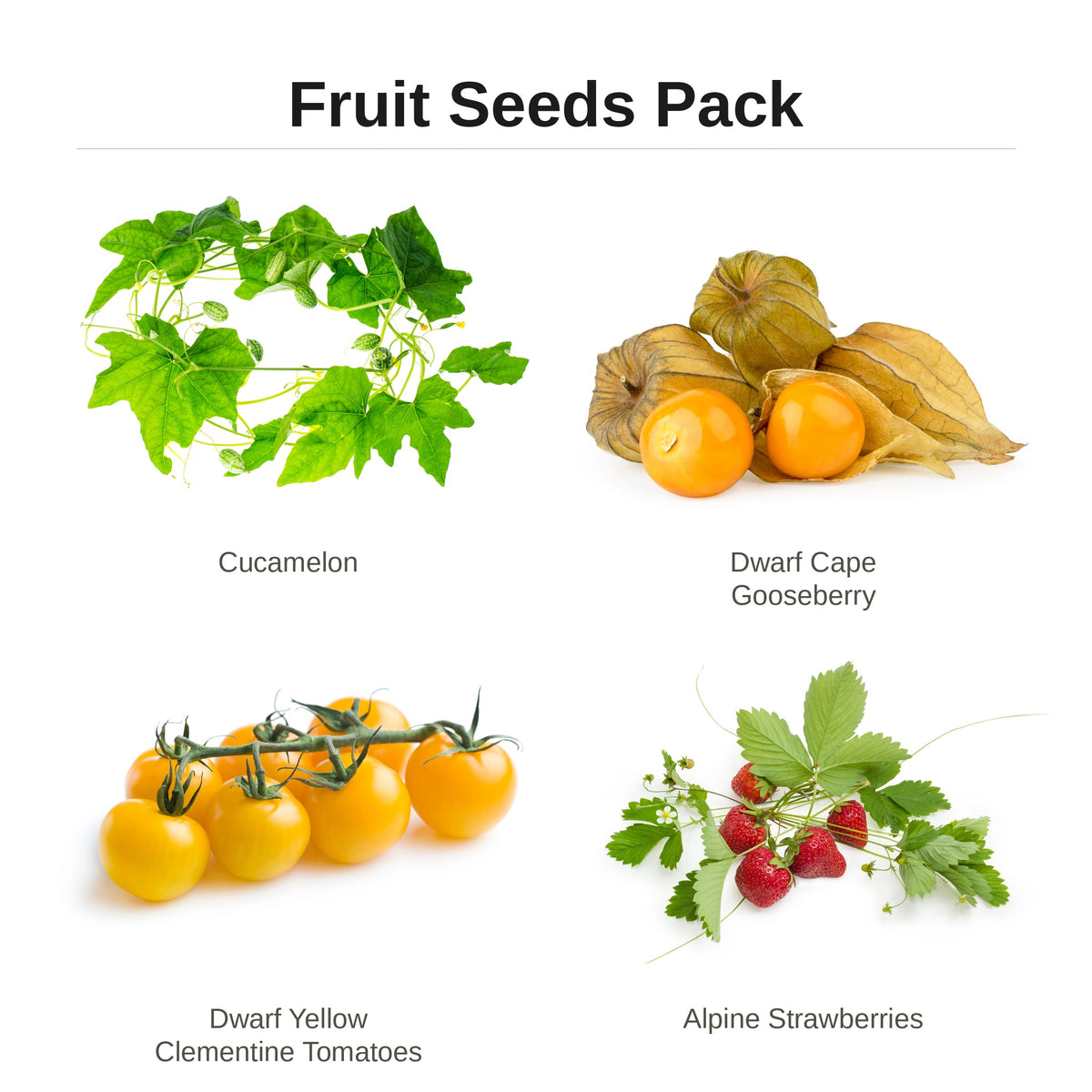 Fruit Seeds Pack – cucamelon, dwarf cape gooseberry, dwarf yellow clementine tomatoes and alpine strawberries seed pack for indoor hydroponic gardens
