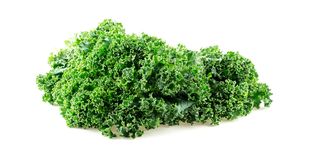 Green kale leaves on a white background