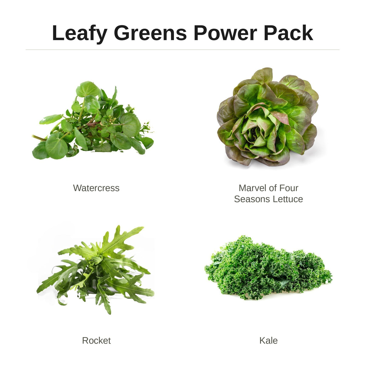 Leafy Greens Power Pack – watercress, Marvel of Four Seasons lettuce, rocket and kale seed pack for indoor hydroponic gardens