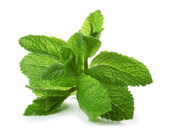 Winter Herb & Tea Pack