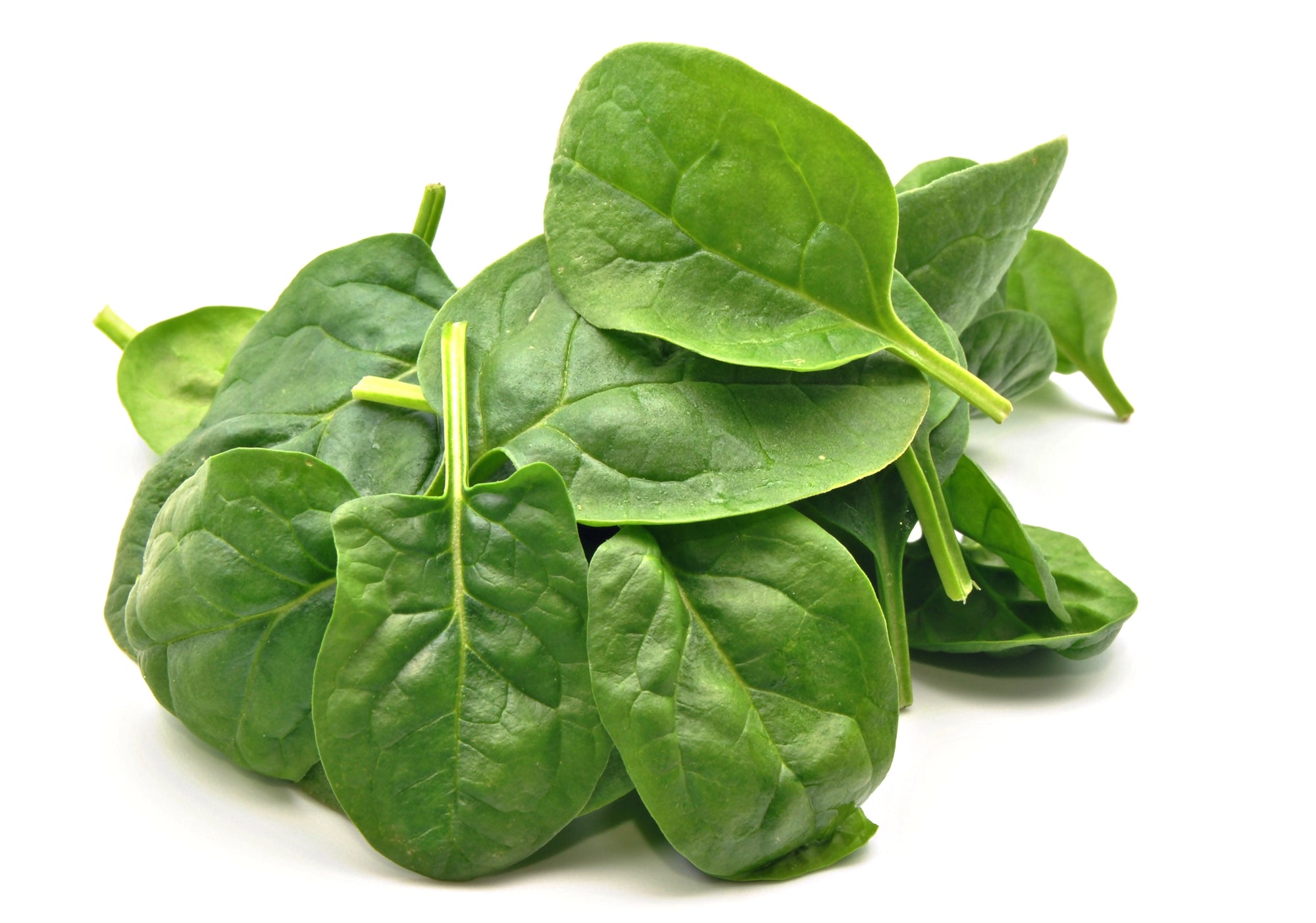 Spinach Hydroponic Seed for Indoor Smart Garden