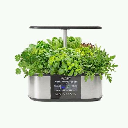 Deluxe 21 Pod