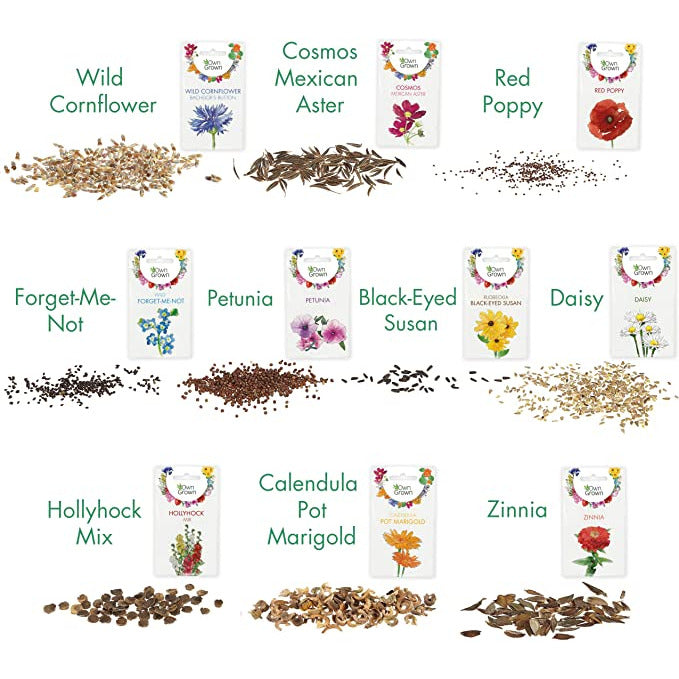 The mix of different garden flower seeds.