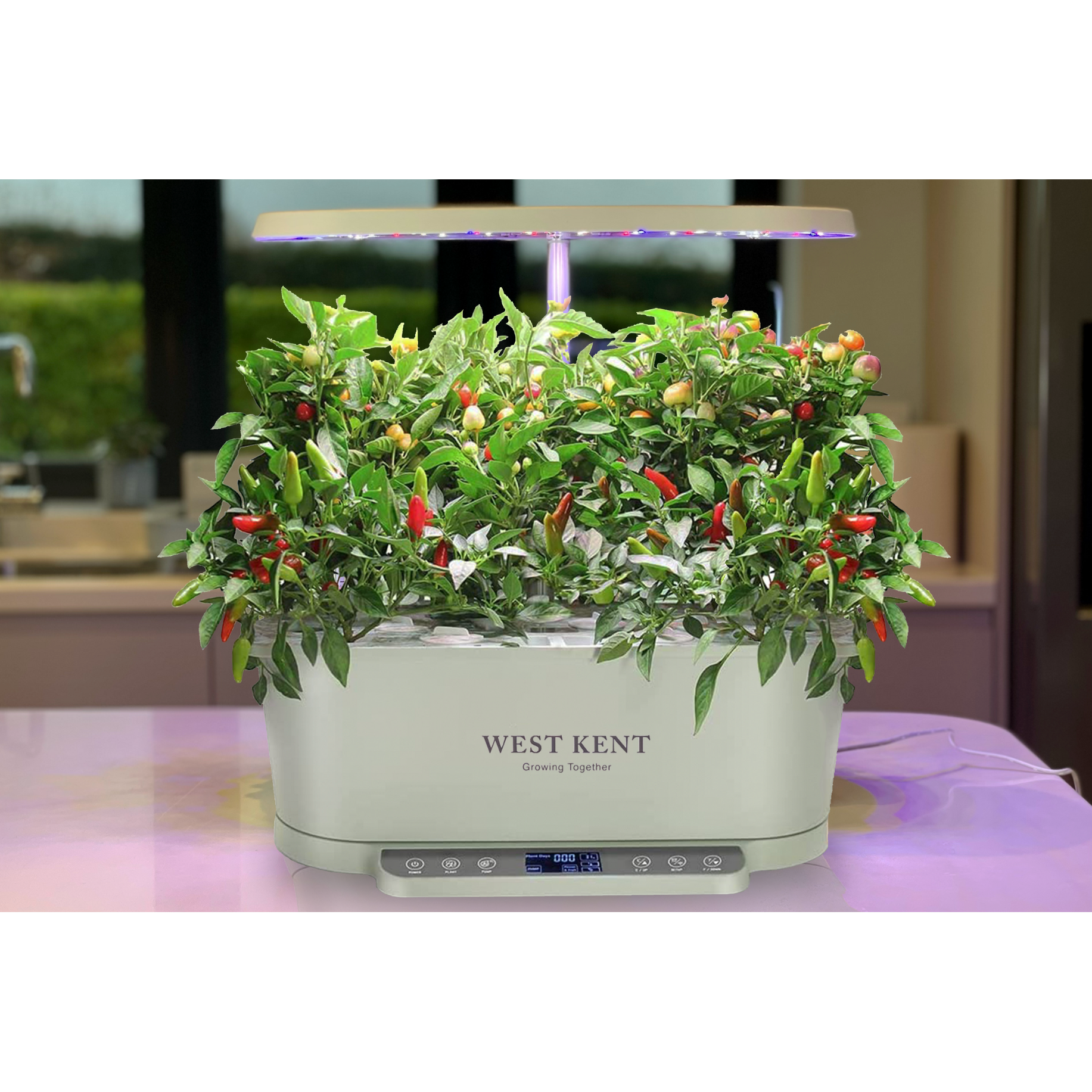 A West Kent 15 Pod Indoor Smart Garden Hydroponic Growing System