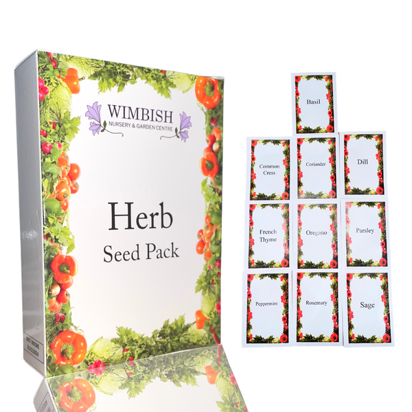 picture of herb seed box with seed packet names next to it