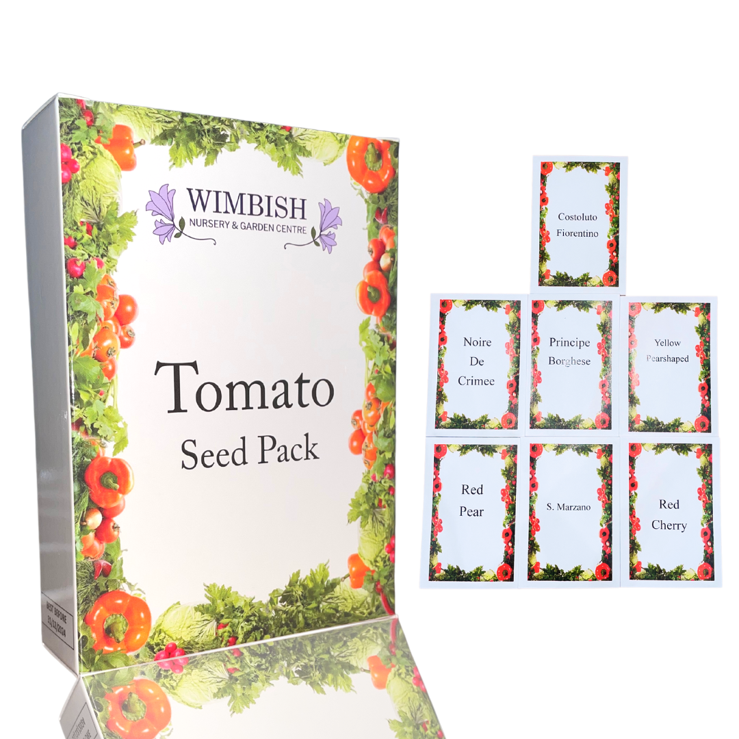 picture of tomato seed box with seed name packets next to it